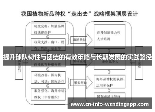 提升球队韧性与团结的有效策略与长期发展的实践路径