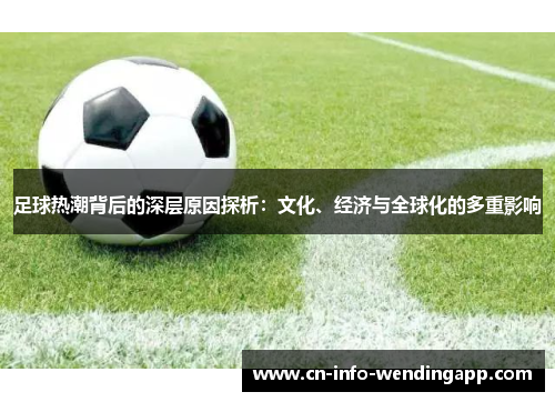 足球热潮背后的深层原因探析：文化、经济与全球化的多重影响