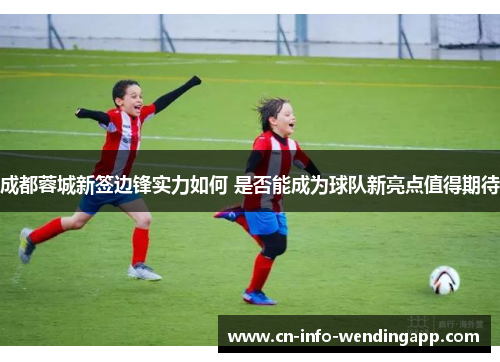 成都蓉城新签边锋实力如何 是否能成为球队新亮点值得期待 成都蓉城新签边锋实力如何 是否能成为球队新亮点值得期待