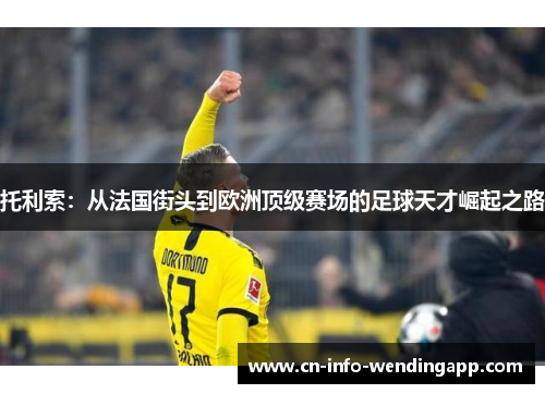 托利索:从法国街头到欧洲顶级赛场的足球天才崛起之路 托利索:从法国街头到欧洲顶级赛场的足球天才崛起之路