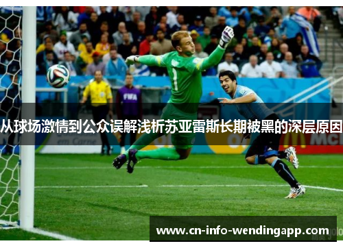 从球场激情到公众误解浅析苏亚雷斯长期被黑的深层原因