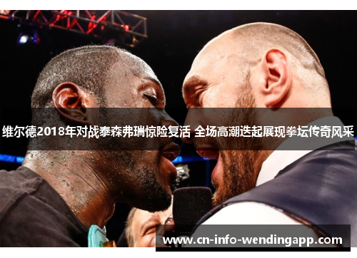 维尔德2018年对战泰森弗瑞惊险复活 全场高潮迭起展现拳坛传奇风采 维尔德2018年对战泰森弗瑞惊险复活 全场高潮迭起展现拳坛传奇风采