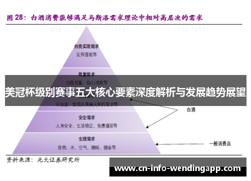 美冠杯级别赛事五大核心要素深度解析与发展趋势展望 美冠杯级别赛事五大核心要素深度解析与发展趋势展望