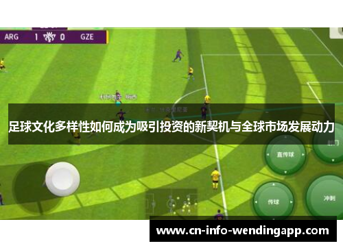 足球文化多样性如何成为吸引投资的新契机与全球市场发展动力