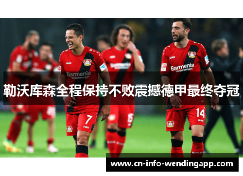 勒沃库森全程保持不败震撼德甲最终夺冠 勒沃库森全程保持不败震撼德甲最终夺冠