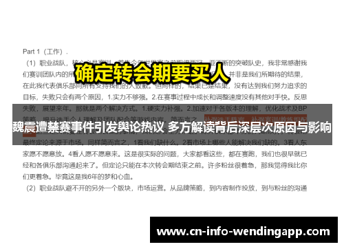 魏震遭禁赛事件引发舆论热议 多方解读背后深层次原因与影响
