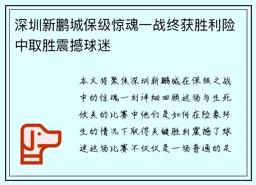 深圳新鹏城保级惊魂一战终获胜利险中取胜震撼球迷